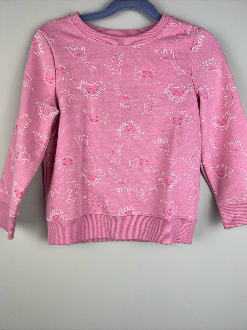 Cat & Jack Pink Dinosaur Crewneck Sweatshirt and pants.